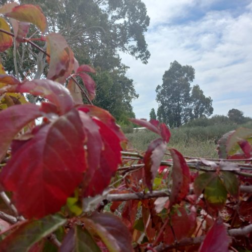 Otoño en su mejor versión: días cálidos en San Juan