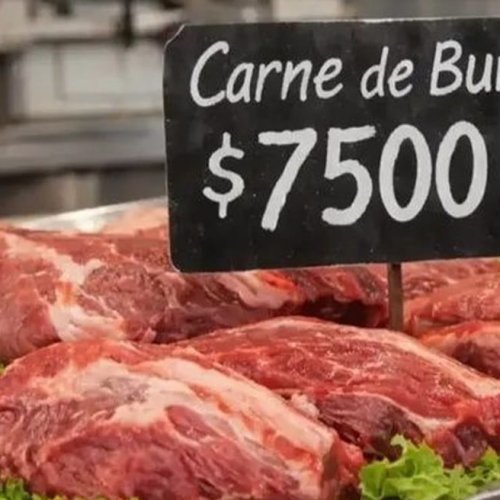 Carne de burro en la mesa: habló el productor chubutense que impulsa la venta y generó debate