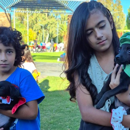 Gran jornada por el Día del Animal en San Martín