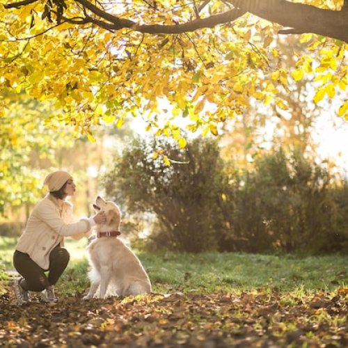 Miércoles con clima amigable para disfrutar con tu mascota