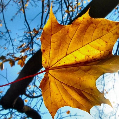 El clima se pone en modo otoño este jueves