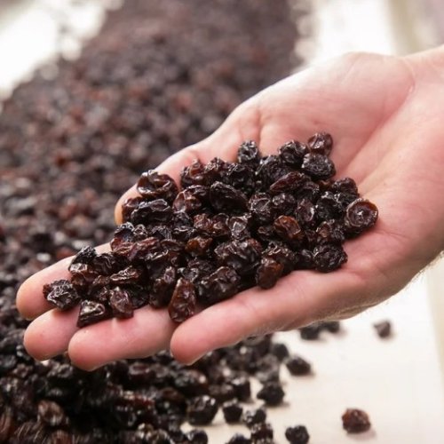 San Juan, protagonista nacional en la producción y exportación de pasas