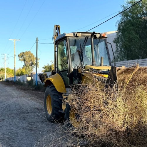 Avanzan los operativos de limpieza en cada barrio: ahora en Palmares