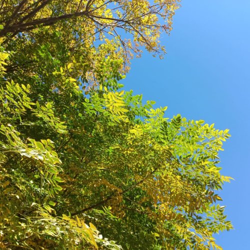 Mañana fresca y tarde templada para empezar la semana