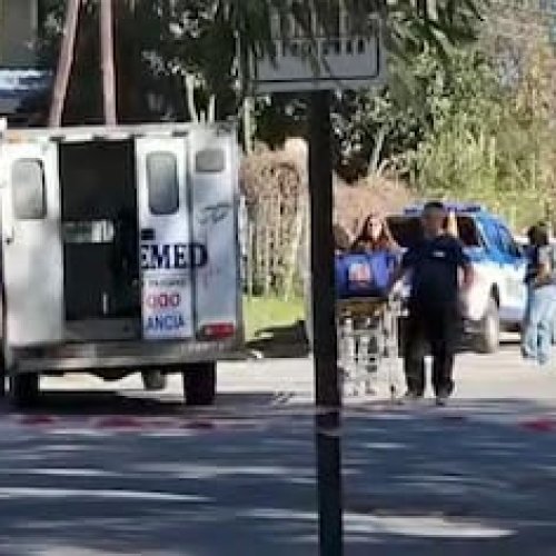 Conmoción en Córdoba: una nena murió tras ser atacada por un perro