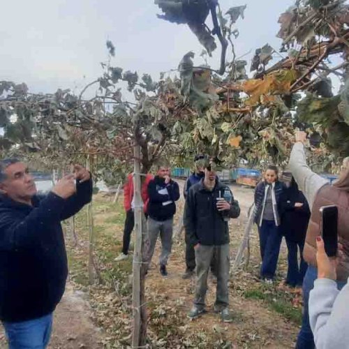 San Martín participó de una jornada de capacitación para fortalecer la vitivinicultura regional