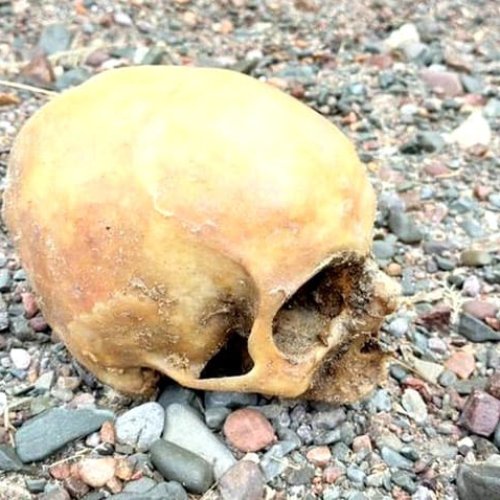 Investigan el hallazgo de un cráneo en Punta Negra