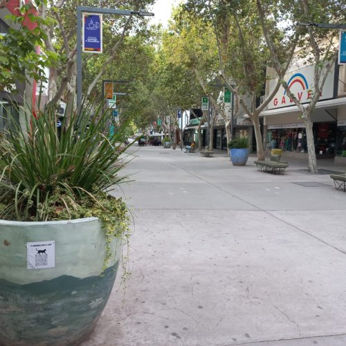 Feriados en puerta: cómo atenderá el comercio sanjuanino