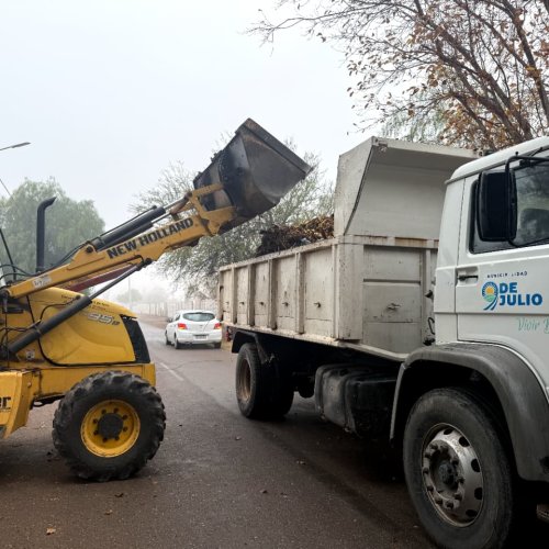 Avanzan los trabajos de limpieza, poda y mantenimiento en Villa Cabecera y Barrio Palmares