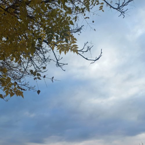 El invierno se hace notar desde temprano
