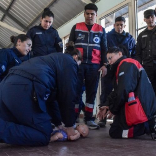 En lo que va de 2026, la actuación policial permitió salvar la vida de 17 niños