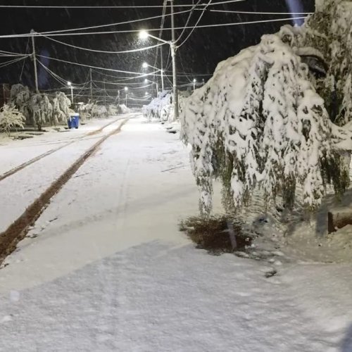 El ministerio de Familia y Desarrollo Humano asegura que no recibió pedidos de asistencia por las nevadas y lluvias