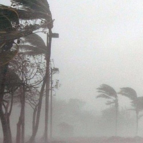 Alerta por fuertes vientos: qué departamentos serán afectados este viernes y sábado
