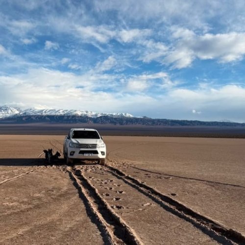 Pampa del Leoncito: nuevas imágenes documentan el daño provocado por una camioneta