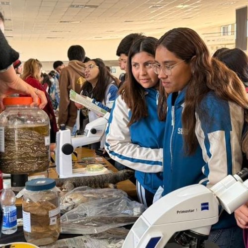¿Qué carreras eligen los jóvenes sanjuaninos para su futuro profesional?
