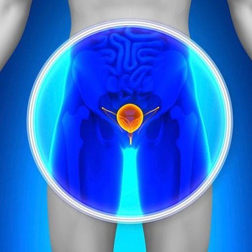 San Martín realizará campaña gratuita de prevención de cáncer de próstata