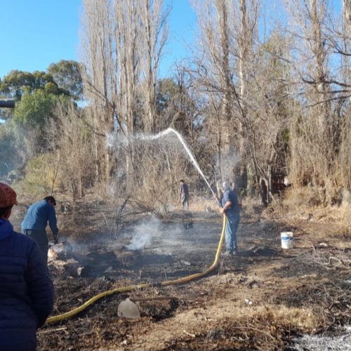 La Municipalidad de 9 de Julio intervino en distintos focos de incendio provocados durante la jornada por las intensas ráfagas de viento Zonda
