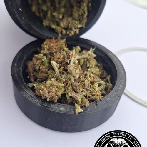 Intentaron entrar a una casa trepando un portón y fueron detenidos: tenían marihuana