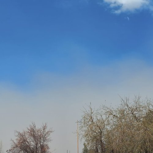 Jueves con viento sur y descenso de temperatura