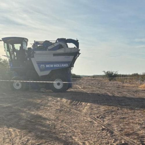 Un operario perdió la vida en un accidente con una cosechadora.