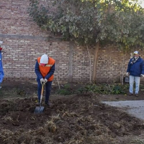 El Municipio de 25 de Mayo impulsa una chacra comunitaria en el Hogar de Día.
