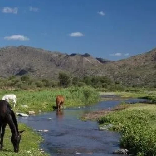 Valle Fértil: el intendente vetó la creación del Parque de la Biodiversidad