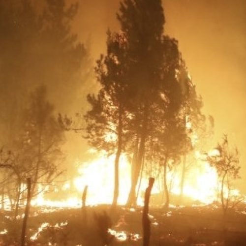 Incendio en un parral de Pocito, asustó a los vecinos por riesgo habitacional