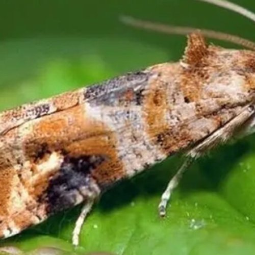 El ministerio de la producción llega para brindar capacitaciones en 9 de Julio