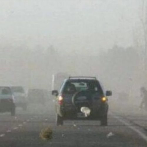 Alerta viene viento Zonda