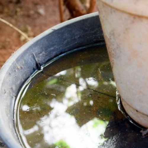 Salud dio recomendaciones para prevenir criaderos de mosquitos