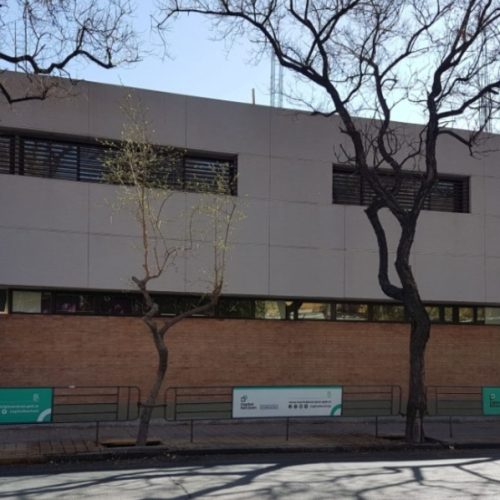 Hay preocupación en un colegio céntrico por la aparición de un alacrán