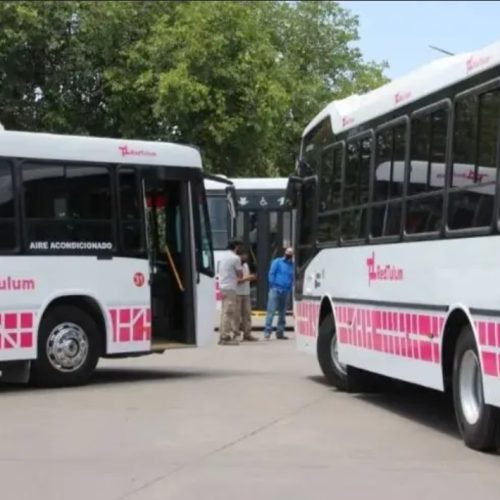 Así serán las disposiciones del servicio de colectivos por Año Nuevo