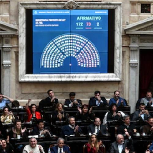 La oposición rechazó el veto de Milei a la ley de emergencia en discapacidad