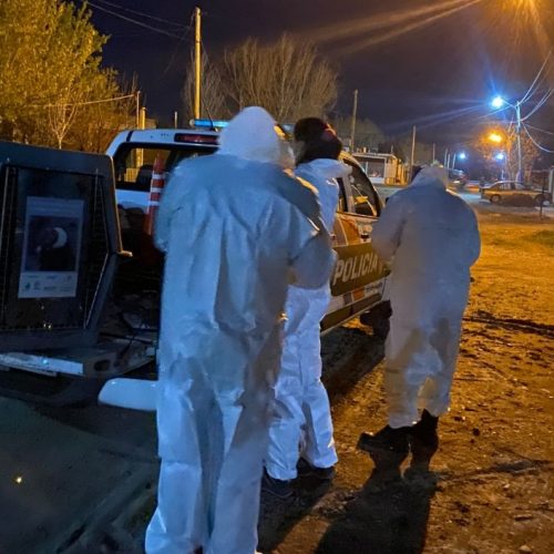 Rescataron un Cóndor en las Chacritas