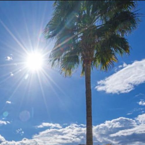 Sol y buena temperatura para arrancar la semana