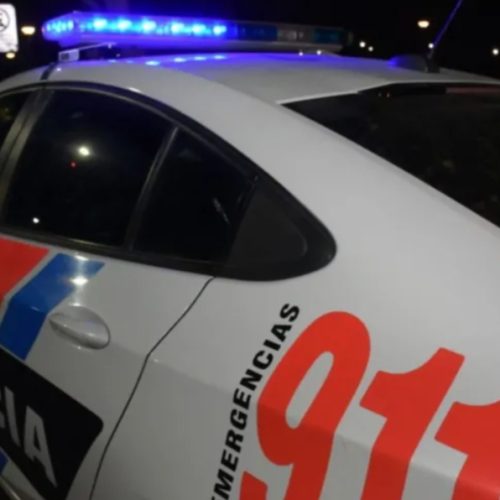 Tras un gran operativo atraparon a unos jóvenes con un auto trucho