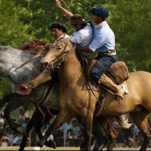 Tradición, jineteada y folclore