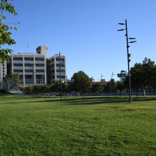 Mirá cuál será la temperatura máxima de hoy
