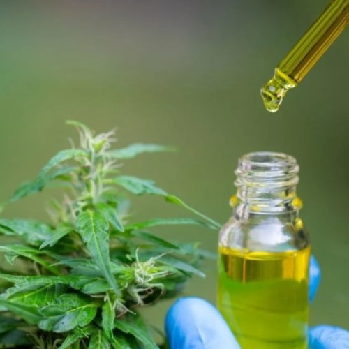 Aceite de cannabis medicinal, San Juan ya autorizó su venta en farmacias