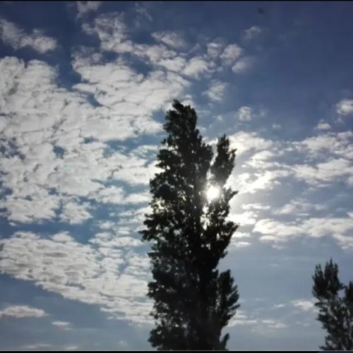 Continúan las temperaturas altas y probabilidades de tormenta
