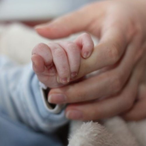 Rescataron a un bebé que fue abandonado en una bolsa