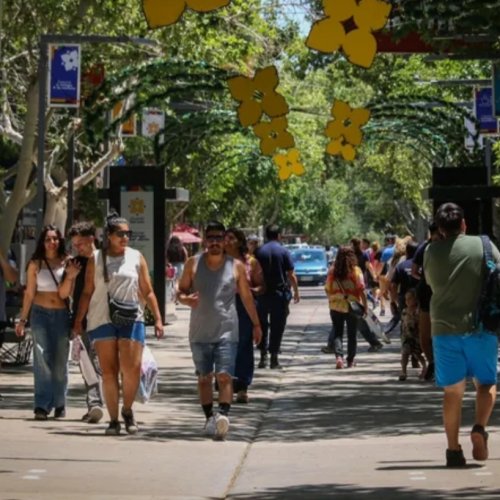 ¿Cómo funcionarán los servicios previo al 1 de enero?