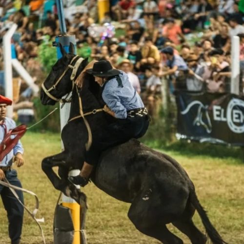 Fiesta Nacional de las Destrezas Criollas y el Folklore: Donde y a que precio están las entradas