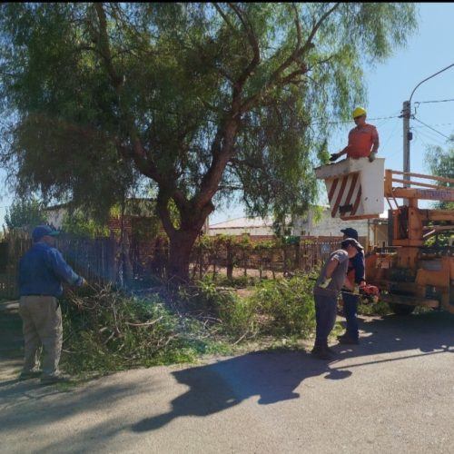 9 de Julio inaugurará nueva luminaria led en el Barrio Palmares