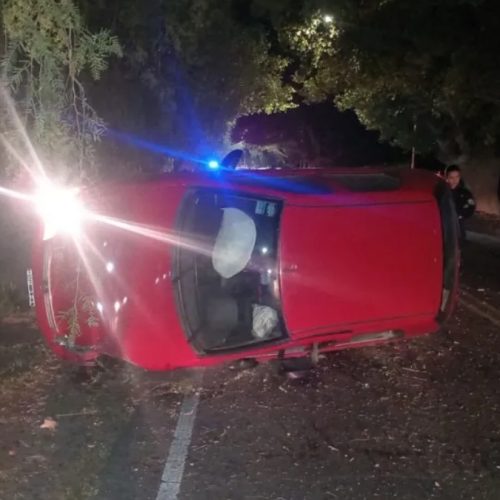 Se le atravesó una paloma, hizo una mala maniobra y volcó