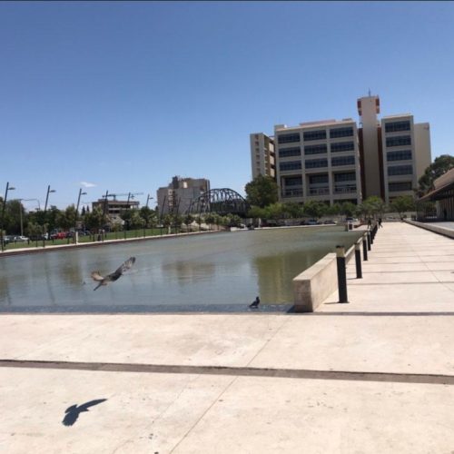 Martes soleado y con una brisa del sector Norte
