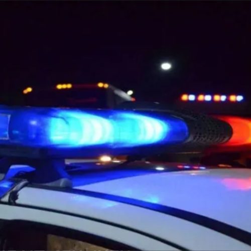 Horror: encontraron un feto tirado en la basura