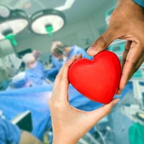 Día Nacional de la Donación de Órganos:Ley Justina ¿Por qué se celebra hoy y qué es?