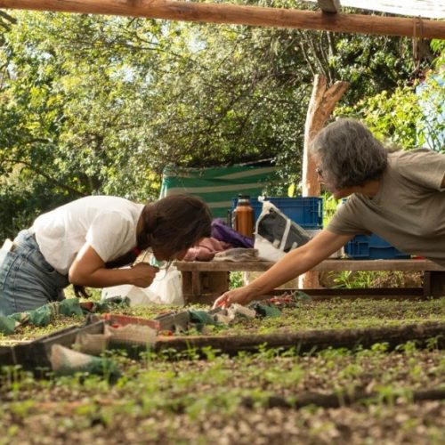 05 de junio: Día Mundial del Medio Ambiente