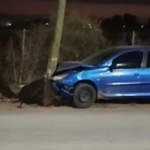 Esquivó a un perro y se incrustó contra un poste de luz